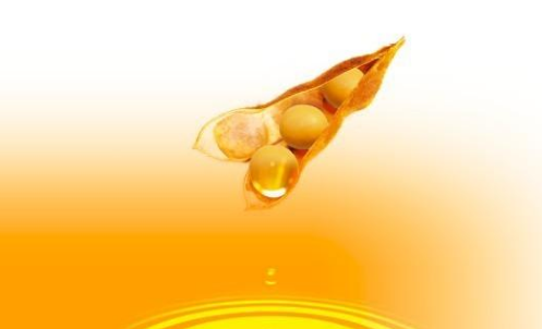 豆油期貨波動(dòng)一個(gè)點(diǎn)多少錢(qián)？豆油期
