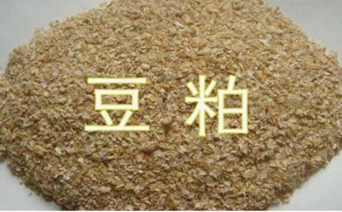 怎么享受優(yōu)惠手續(xù)費？豆粕期平今倉