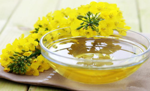 菜油期貨手續(xù)費(fèi)標(biāo)準(zhǔn)，怎么降低菜油