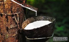 橡膠上漲仍可期，焦炭期現(xiàn)聯(lián)動(dòng)，向