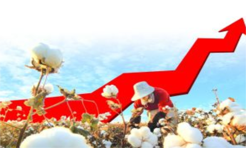 棉花期貨價格變化和哪些因素有關(guān)？
