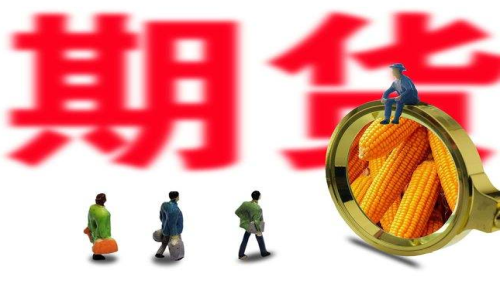 新手投資者怎么買玉米期貨？