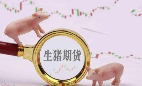 生豬期貨未來走勢將會(huì)如何？生豬期